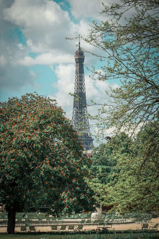 Paris in the Park